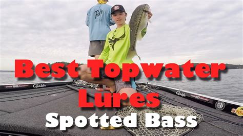 Best Spotted Bass Topwater Baits Fish Catches Youtube