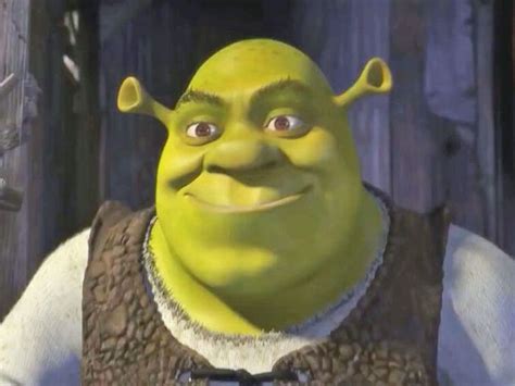 Just Out Of Curiousity Is There Any Version Of Harry Potter That Shrek