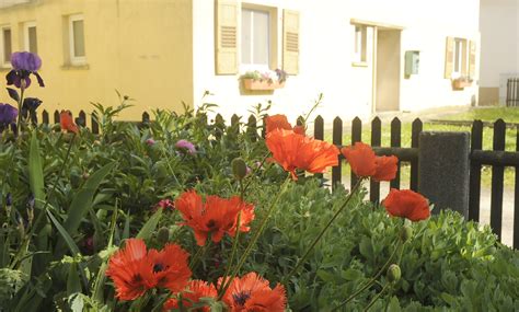 Wohnungen mieten affalterbach, mietwohnungen affalterbach, wohnungsangebote vom makler und von privat: Gemeindeeinrichtungen: Gemeinde Affalterbach
