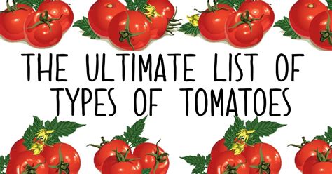 Types Of Tomatoes List