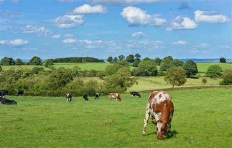 Free Images Landscape Nature Grass Outdoor Wilderness Field