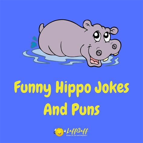 20 Hilarious Hippo Jokes And Puns Laffgaff