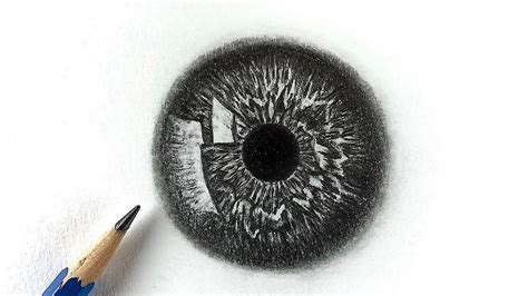 How To Draw An Eyeball - Eyeball drawing | Eyeball drawing, Easy
