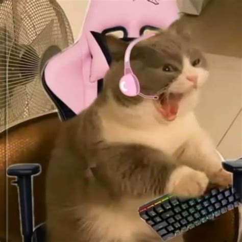 Goals Gamer In 2021 Cat Memes Losing My Best Friend Witty Instagram