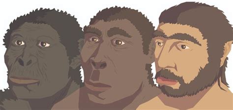 Why are we the only human species that exists today? | Life Persona