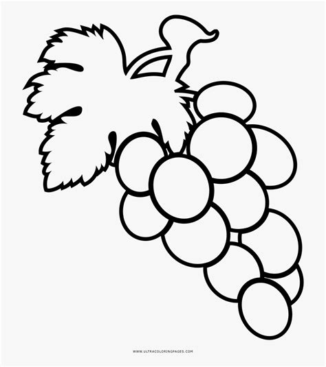 Dibujos Para Pintar Uvas - Racimo De Uvas Para Colorear , Free