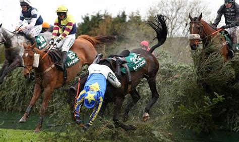 Trainer Blames Animal Rights Protesters For Horse Deaths At Grand National