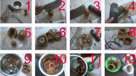 Memiliki keturunan (zuriat) merupakan sebuah. Muslimah's Secret Official Blog: Khasiat dan kelebihan ...