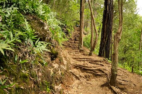 Maunalaha Trail Hike Daniel Ramirez Flickr