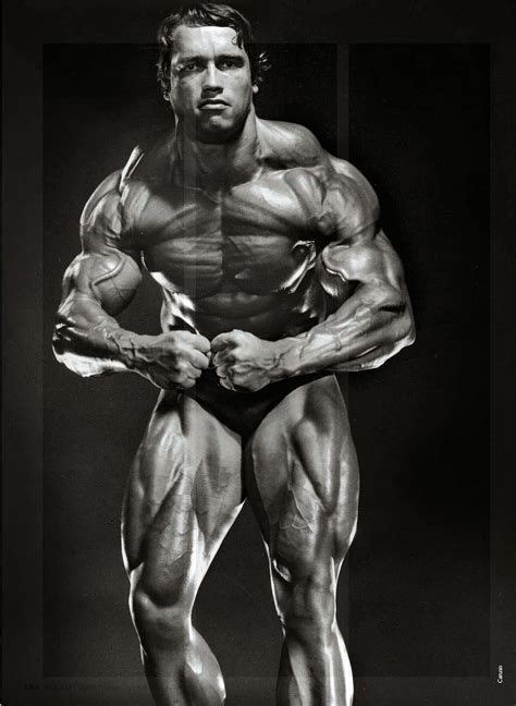 Arnold Schwarzenegger Bodybuilding Photo Picture The Golden Era Of