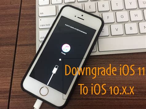 Downgrade Ios 114 11 To Ios 1033 On Iphone Ipad Without Lost Data