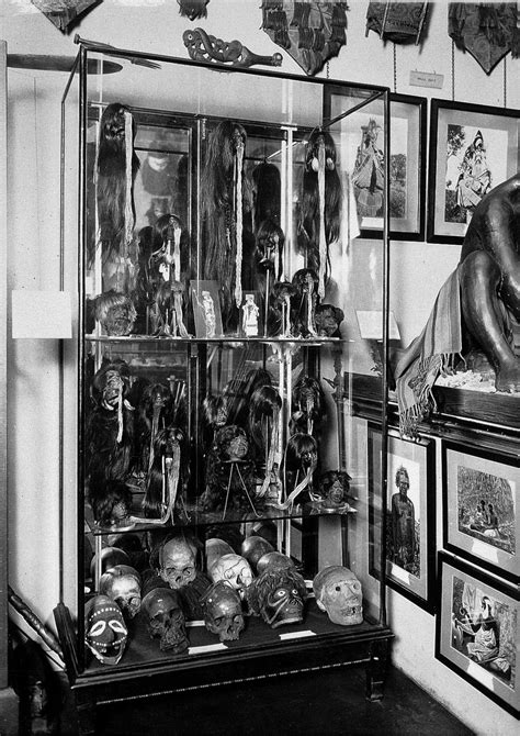 A Collection Of Shrunken Heads And Skulls On Display At The Wellcome