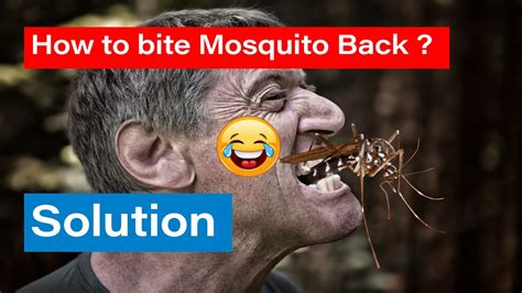 How To Bite A Mosquito Back Answer YouTube