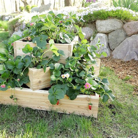 How To Make A Sleek Tiered Strawberry Planter Strawberry Planters Diy