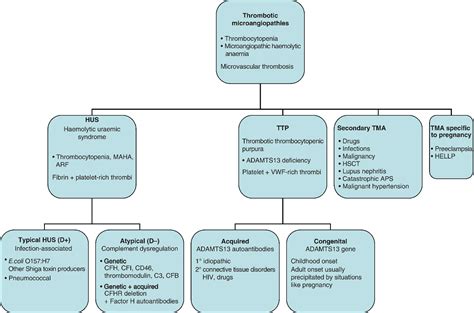 thrombotic microangiopathies oncohema key