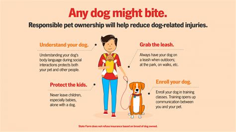 Tips For Safely Sheltering At Home With Pets State Farm