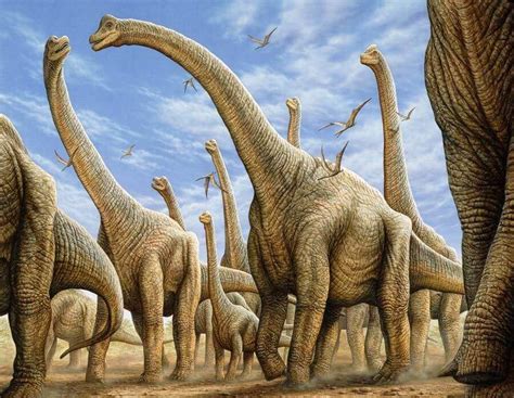 Brachiosaurus Bilimsel Dünya