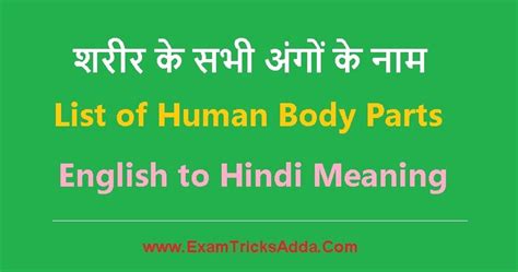 [A to Z] शरीर के सभी अंगों के नाम - हिंदी में | List of ...
