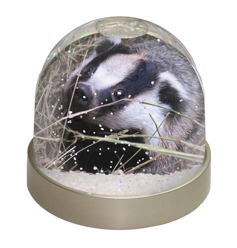 Badger In Straw Photo Snow Globe Waterball Stocking Filler T Aba