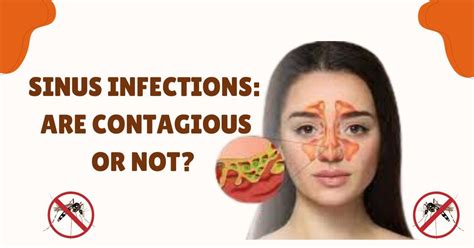 understanding sinus infections are contagious or not wellnessuniverse medium
