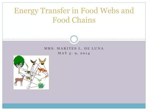 Ppt Energy Transfer In Food Webs And Food Chains Powerpoint
