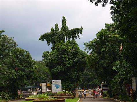 Hotels in der nähe von ninoy aquino parks and wildlife center, quezon city: Ninoy Aquino Parks and Wildlife Center: The Perfect Place ...