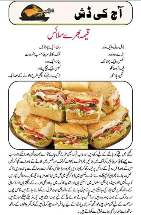 Pakistani Recipes In Urdu App Download