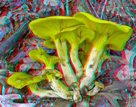 3d Anaglyph Collection 3 Flickr