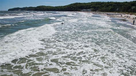 Ist die ostsee warm, können sich vibrionen vermehren. Ostseeküste: Erste Vibrionen-Infektionen festgestellt - 87 ...