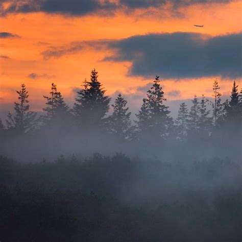 Evening Mist Landscape Mists Nature