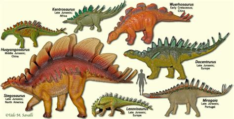Image Stegosaurmodels Land Before Time Wiki Fandom Powered By