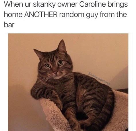 47 Ridiculous Animal Memes That Will Make You Laugh Every Single Time