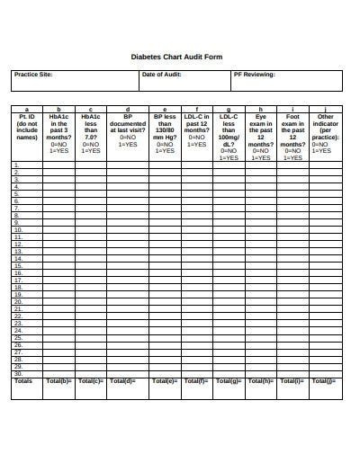 10 Medical Record Audit Form Templates In Pdf Free