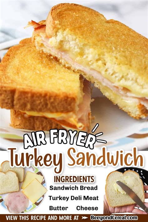 Get Ready For This Delicious Air Fryer Turkey Sandwich To Put A Modern