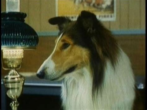 Lassie Episodes Hanford S Point Parts Season