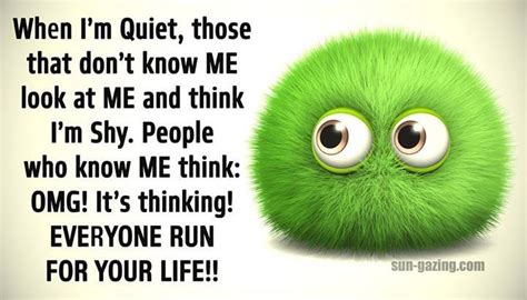 When Im Quiet Funny Quotes Quote Crazy Funny Quote Funny Quotes Humor