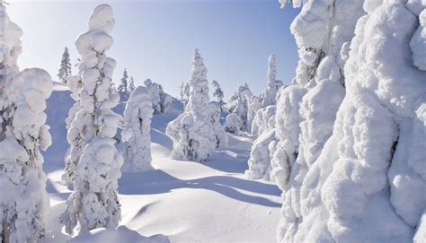 10 Reasons to Film in Finnish Lapland | Film Lapland