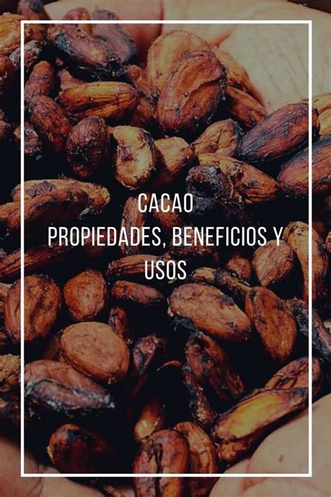 Properties Benefits And Uses Of Cocoa Woodme