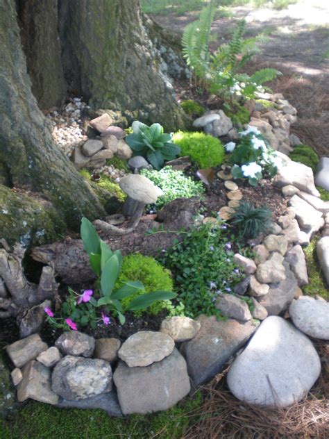 Pin By Laurie Prentice On Fairy Garden Landscaping Around Trees