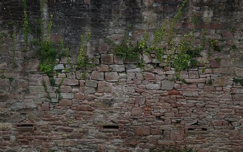 Man Made Wall Heidelberg Castle Hd Wallpaper Wallpaperbetter