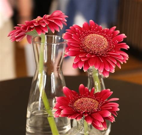 Jan 01, 2021 · the lego flower bouquet (10280) building kit makes a unique gift or mindful project, creating a beautiful flower display model made entirely from lego pieces. Image result for nice flower images for dp | Beautiful ...