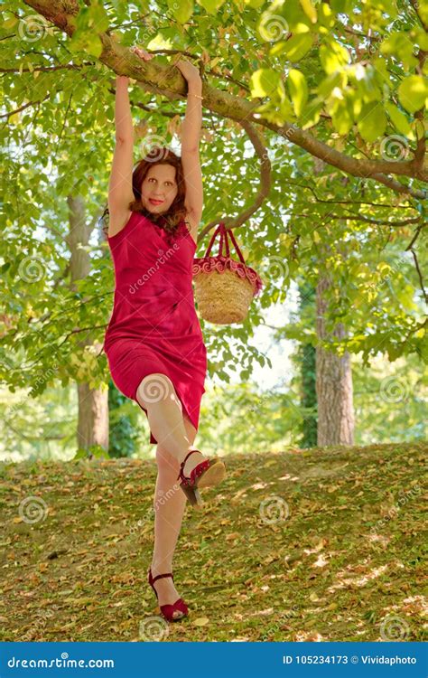 Woman Hanging From Tree Stock Image Image Of Girl Background 105234173