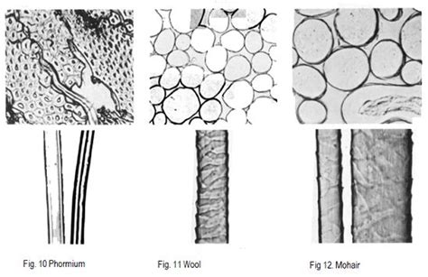 Microscopic View Of The Natural And Man Made Fibre Fibre And Fabric