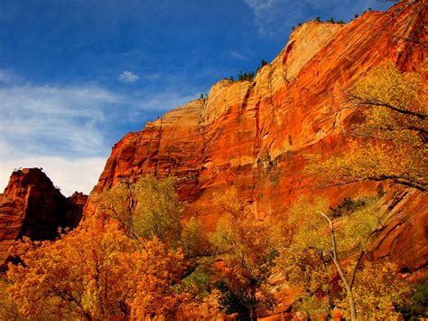 Zion National Park The Steep Canyon Walls And The Fall Col