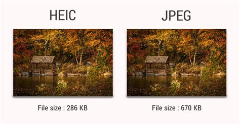 Heic Vs Jpeg Whats The Difference And Which Is Better Nolowiz