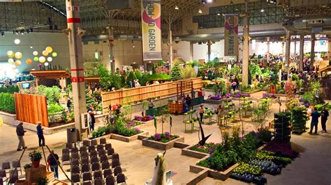 Flowers Everywhere at the Chicago Flower and Garden Show - Shawna Coronado