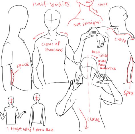 References Half Body Poses Drawing Rectangle Circle