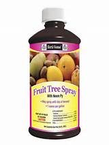 Organic Pest Spray For Fruit Trees
