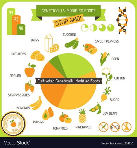 Information Poster Genetically Modified Foods Vector Image