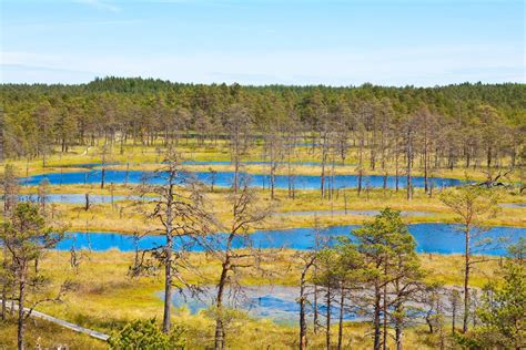 Estonia, officially the republic of estonia, is a country in northern europe. Best Time To Visit Estonia 2020 - Weather & 41 Things to Do